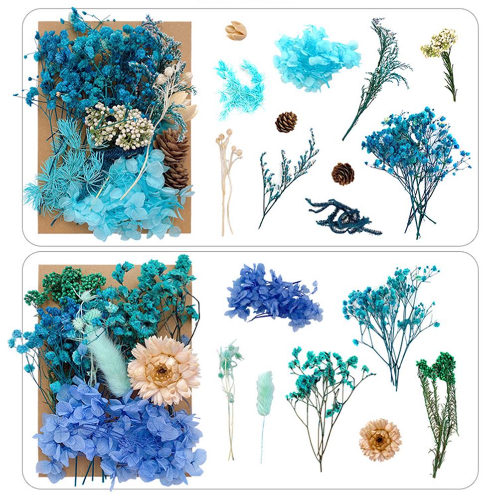 1 Bag Dried Flowers Pressed Dry Flower For DIY Phone Case Epoxy Resin Filling Pendant Jewelry Making Crafts Nail Art Decor