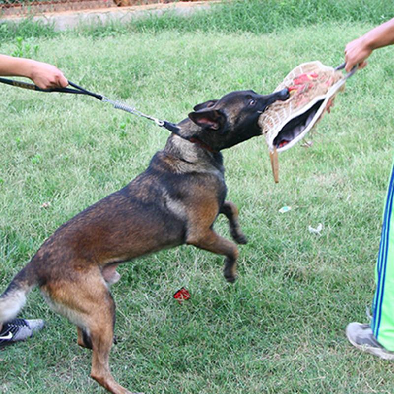 Dog Leash Spring Short Dogs Leash PU Leather Leashes for Large Dogs Walking Nylon Rope Durable Dog Leashes Training Pet Chain