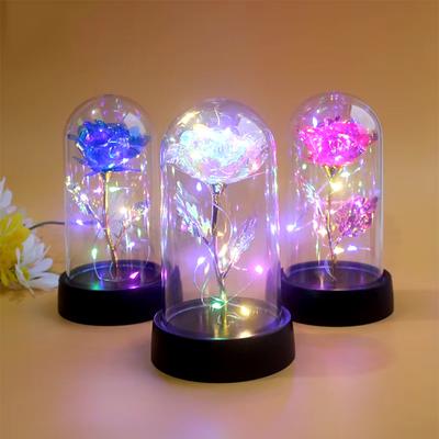 Fleur en Verre Artificiel avec Rose Éternelle de la Lumière LED pour Femmes la Belle et la Bête Rose Cadeaux d'Anniversaire pour Filles Noël