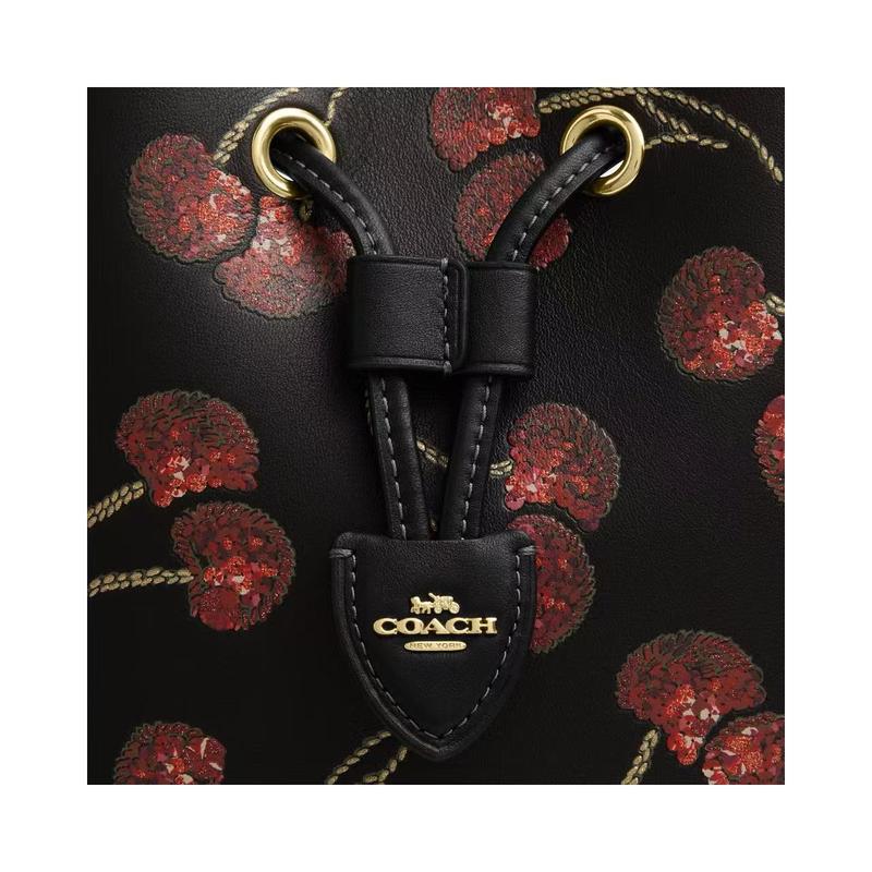 Coach Rowan 21 Cherry Print Bucket Bag Cow Leather Shoulder Handbag Small Size Women's Multicolor