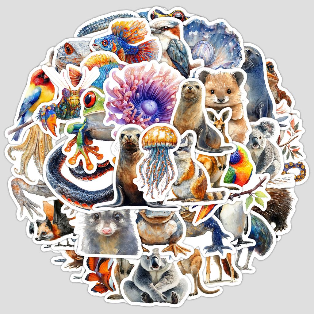 50 Australian Animal Graffiti Stickers Water Cup Computer Suitcase Notebook Waterproof Decorative Stickers