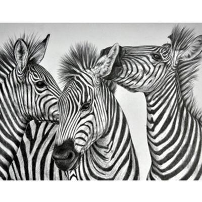Volles 5D-Diamantgemälde zum Selbermachen, Kunst, Zebra-Stickerei, Kreuzstich, Heimdekoration, handgefertigtes Geschenk