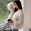 Imitation raccoon hair woven imitation fur jacket women's short new imitation fox hair coat light fashion