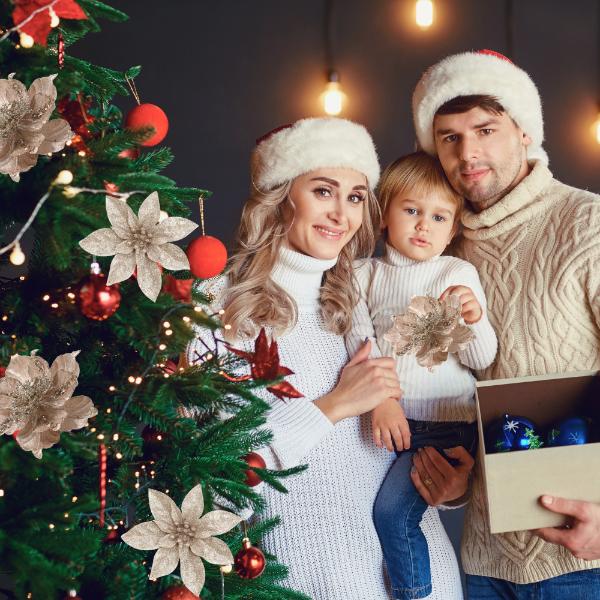 Gwiazda Betlejemska Na Choinkę Kwiaty 6Szt Różowo-Szampańska [Se-Gb20]