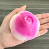 Crunchy Squishy Onion Crispy Sound Squeeze Toy Round Blocks Filled Stress Relief Fidget Toy Asmr Sensory Decompression Toy Gifts
