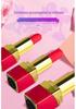 Women's Electric Mini Lipstick Vibrator: Magnetic Rabbit Egg Intimate Adult Toy