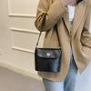 Stylish New Texture Handheld Shoulder Bag 2024 French Bag Women's Trendy Bucket Crossbody Bag