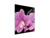 SZKLANA DESKA DO KROJENIA 45x52 ORCHIDEA