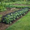 Foldable Anti-Insect Cultivation Tunnel 300x45cm | Spring-Summer