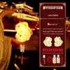Baizi'en Mid-Autumn Festival DIY Luminous Handheld Lantern Kit