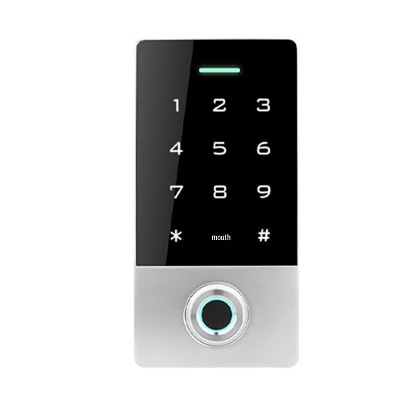 Realand X504 Fingerprint Access Control System
