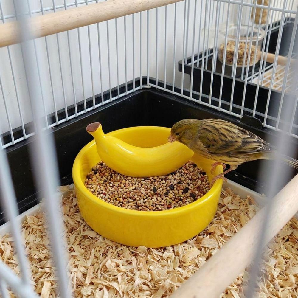 Wide Mouth Pet Feeding Bowl Fruit Shape Tortoise Feeding Dish Bird Feeding Dish  Small Pet