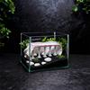  Aquarium Decorations Fish Tanks Accessories for Cave Hide Decors Palaces Ornament