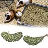 Pet Chew Toy Fruit Shape Natural Grass Relieve Boredom Rabbit Hamster Chinchilla Guinea Pig Squirrel Gerbil Teeth Cleaning Toy Pet Supplies