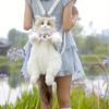 Handmade Unique Ragdoll Cat Shape Backpack Plush Animal Cat Realistic Fashion Gifts for Girls and Cat Lovers Christmas Gifts Valentine's Day Gifts