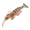 Marine Prawn Animal Model Early Learning Educational Vivid Simulation Home Decoration Sea Animal