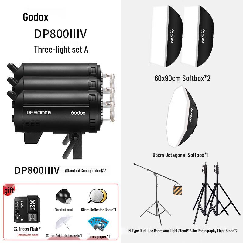 Godox DPIIIV-800W Studio Flash Kit