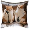 Sofa Pillow Pillowcase Skin-friendly Short Plush Cute Animal Cat Pillow Cover Living Room Cushion Cover Without Core