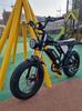 Ridstar Q20 Electric Bike 1000W Powerful Motor 48V20AH Oil Brake 20*4.0inch Fat Tire Ebike Mountain Snow Electric Bicycle