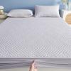 Waterproof Fitted Bed Sheet with Elastic Band Anti-slip Durable Cover Mattress Protector,for Single Double King full Queen