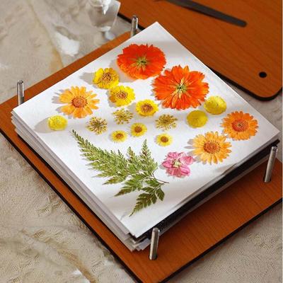 Press Flower Set Pressing Tool for Kids Adults Handicrafts Preservation Plant