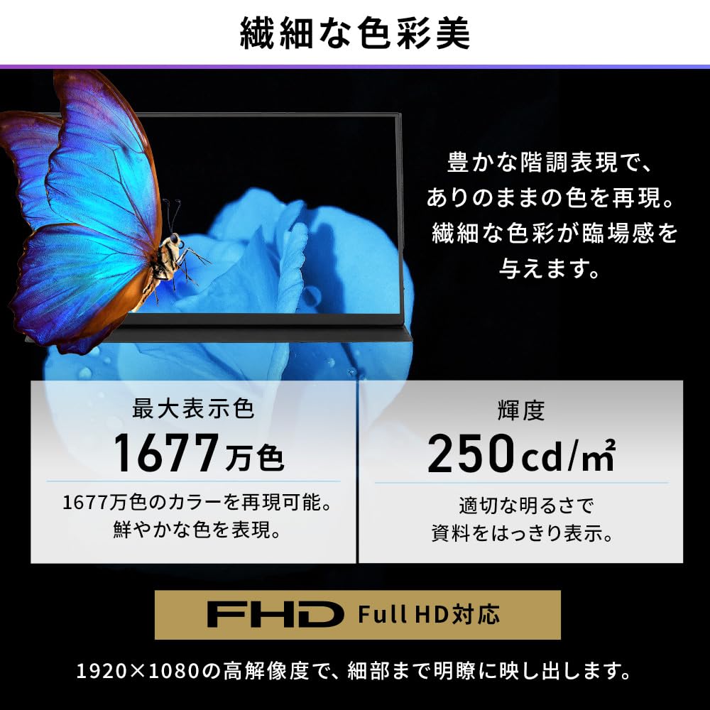 Iris Ohyama Portable Slim Black Monitor, 18.5-inch FHD, Design, Compact, Non-Glossy, 60Hz, DP-EF184S-B,