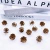 Plastic Pine Cone Ornaments: 2-6 Cm Christmas Craft & Photography Props