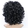 Synthetic Short Wigs for Women Afro Curly Wig Natural Fluffy Hair Daily Ladies Wig Cosplay Party Heat Resistant