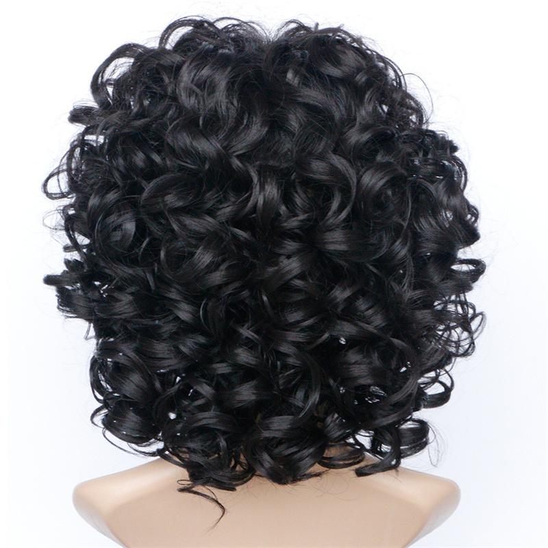 Synthetic Short Wigs for Women Afro Curly Wig Natural Fluffy Hair Daily Ladies Wig Cosplay Party Heat Resistant