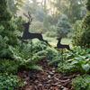 Waterproof Garden Stake 2Pcs/Set Christmas Elk Stake, Black Reindeer Silhouette Yard Art, Holiday Decorative Stakes Deer Flower Bed Sign for