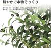 TUIYIDUO Artificial Olive Trees of 180cm Large Artificial Plants for Indoor and Outdoor Decor (Set 2, tall) -