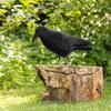 Black Waterproof Outdoor Hunting Crow Decoys Garden Bird Deter Scarecrow Mice Control Garden Scarer Bird Decoy For Garden