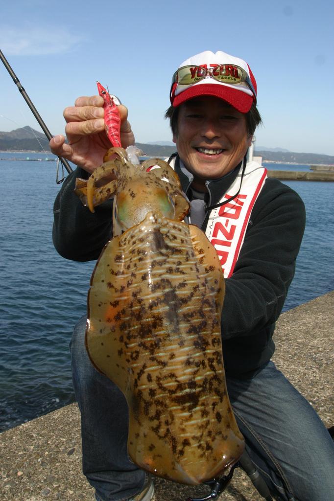 Lure Egi Aori Q Ace KVGL YO-ZURI No. 3.0