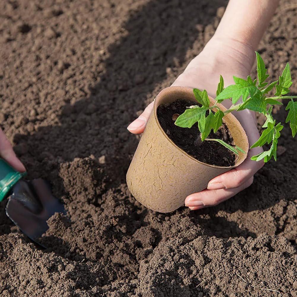 skycabin Seedling Cultivation Paper Plant Set of Diameter Seedling Seedling Seed Plant Vegetable Gardening Home Gardening Pots, Pots, Pots, 100, 8cm,