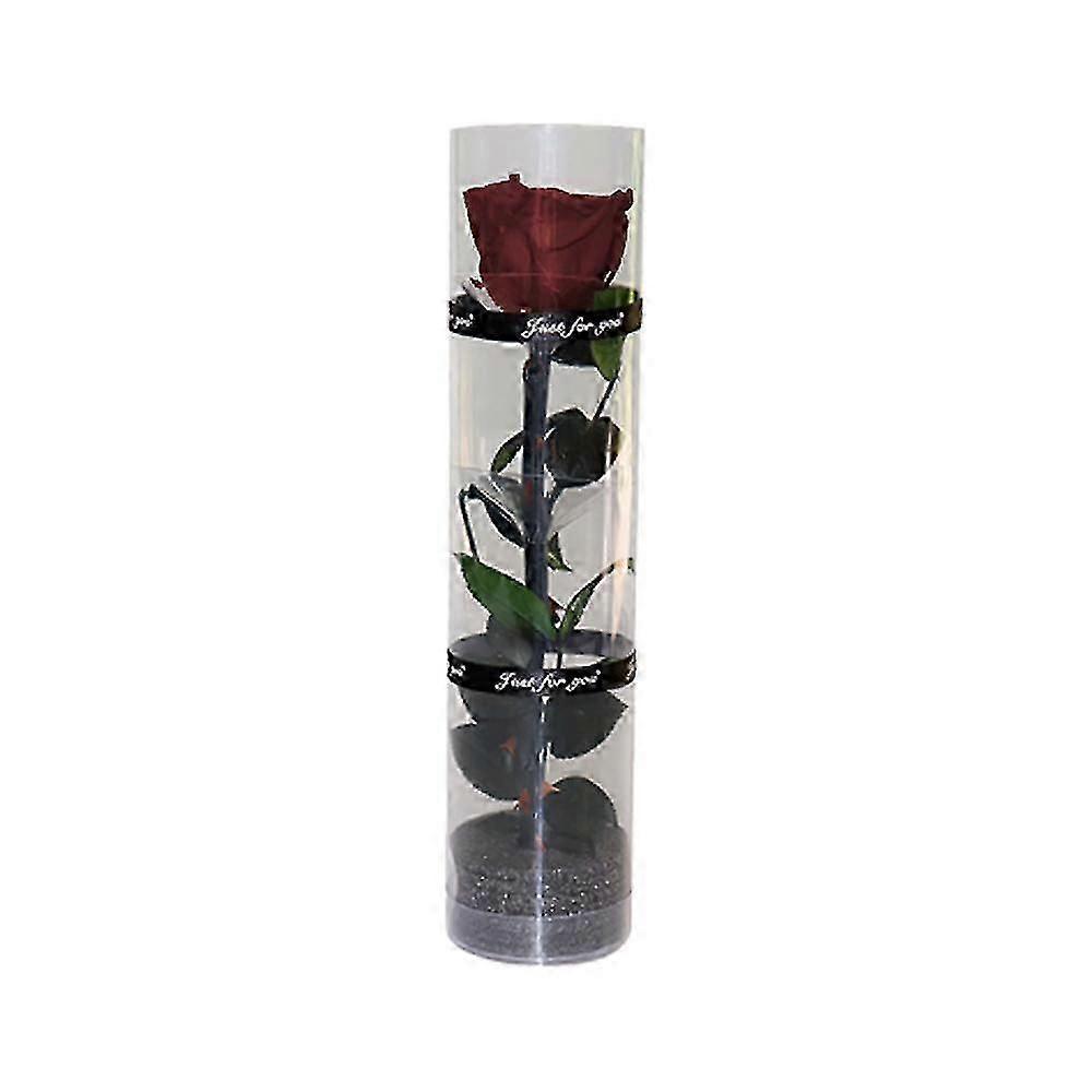 Una Vera Rosa Stabilizzata, Rosa Immortale, Rosa Durevole, Rosa a Fioritura Eterna