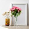 Air Plant Rack Metal Holder Chic Design Decorative Stand for Table Balcony Variety Plant Display Stand Garden