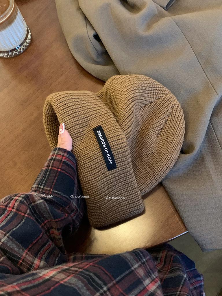 Autumn and Winter Wool Pile Hats with Large Head Circumference Versatile Casual Cold Hats Warm Hats Couple Ear Protection Knitted Hats