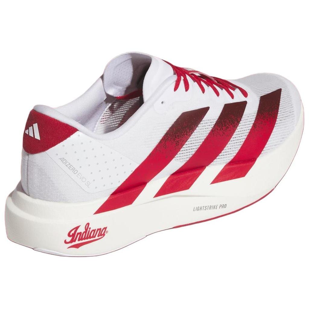 Adizero Evo Sl Ncaa x Adizero Evo Sl Adidas 'Indiana' JQ4576