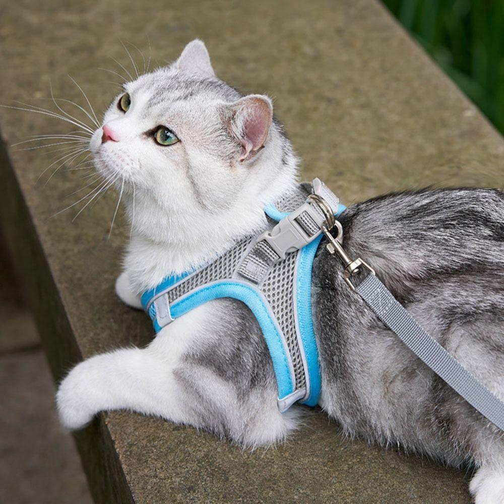 Anti-Breakage Pet Harnesses and Leashes Set Breathable Reflective Vest-Style Harness Adjustable Soft Mesh Dog Vest Chest Strap