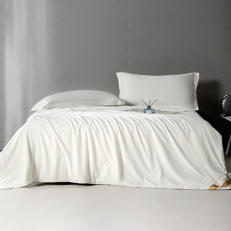 Hongxiu Shifang Natural Pure Silk Quilt