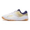 Li Ning Qilin TD Fabric Synthetic Leather Shock Absorbing Non-Slip Wear-Resistant Lightweight Low-Top Training Shoes Women Sneaker Platinum APTR002-2
