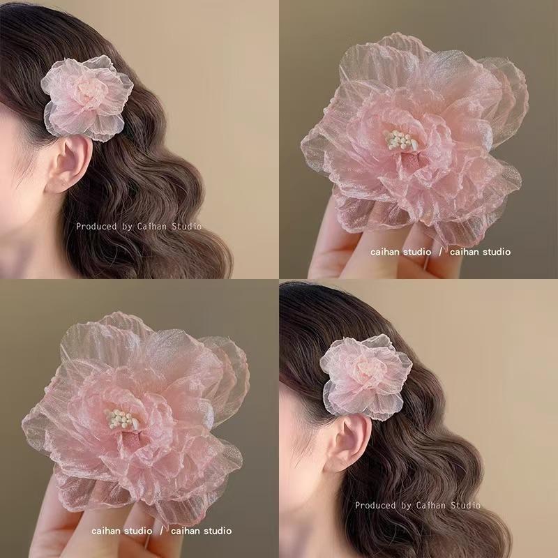 Netted Hair Clip