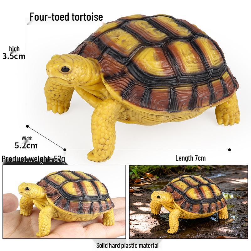 Children's Cognitive Marine Animal Models: Sea Turtle and Tortoise Toys