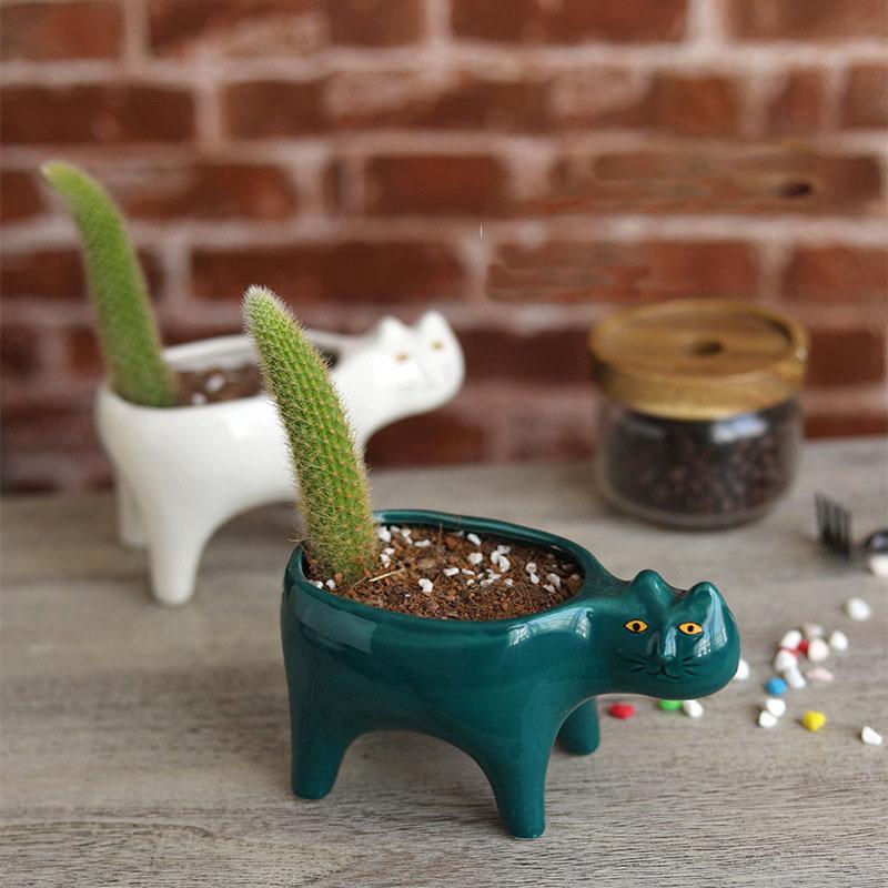 Cute Cat Succulent Flower Pot Desktop Placed Potted Container Decoration Cartoon Gift Balcony Plant Ceramic Cactus Flower Basin