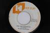 7-Zoll-Schallplatte BLUES BUSTERS Are You Changing Magical Lady NONE HOT STUFF 1976 Jamaika Reggae Ska Dub Gebraucht