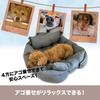 AiS To You Dog and Cat Medium Large Includes Futon and Fluffy Bed, (approx. 80cm), (approx. 90cm), Cushion, 3-Way Washable, (Large, Gray)