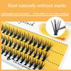 Natural False Eyelashes, 1 box 60 clusters 20D individual eyelashes, extension eyelashes, Professional Makeup