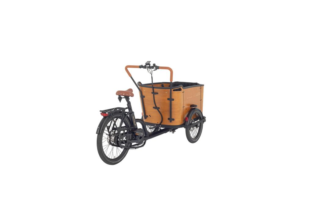Family C 250W Mid-Drive Electric Cargo Bike for Kids, 4 Seats, 48V 13.4Ah Battery, 20"/26" Tires