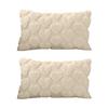 2Pack Valentines Day Pink Plushes Cushions Cover Decorative Pillow Case for Home Ambiances for Sofa Bed Decorations