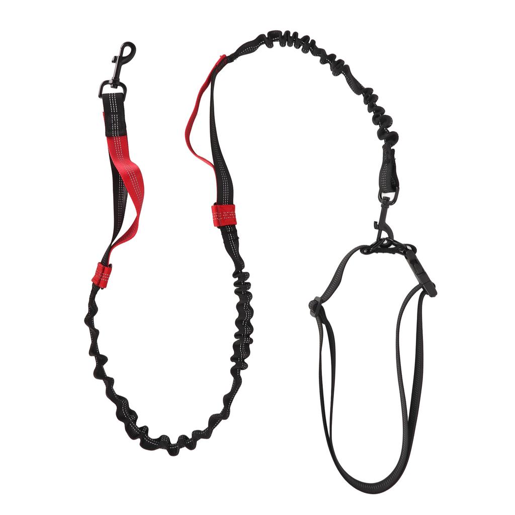 Strapazierfähige Bungee-Hundeleine Stoßdämpfendes Elastisches Hundeleinenseil mit 2 Gepolsterten Griffen für Große Hunde beim Spazierengehen und Training